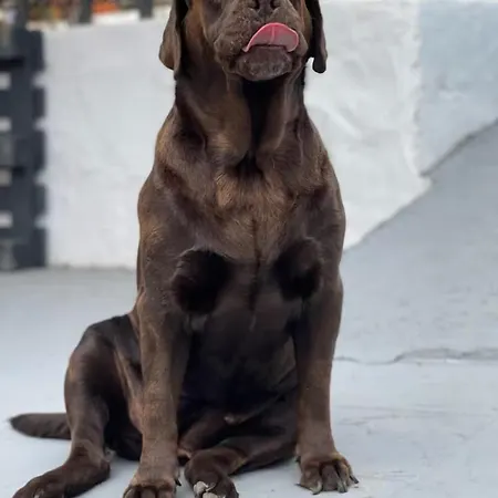 Casa Caracol - Oaxaca Kemping Agaete