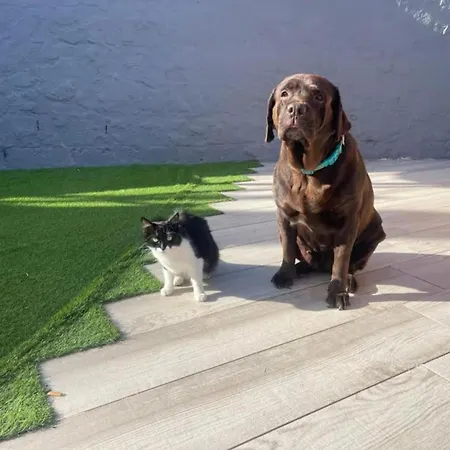 Kemping Casa Caracol - Oaxaca *