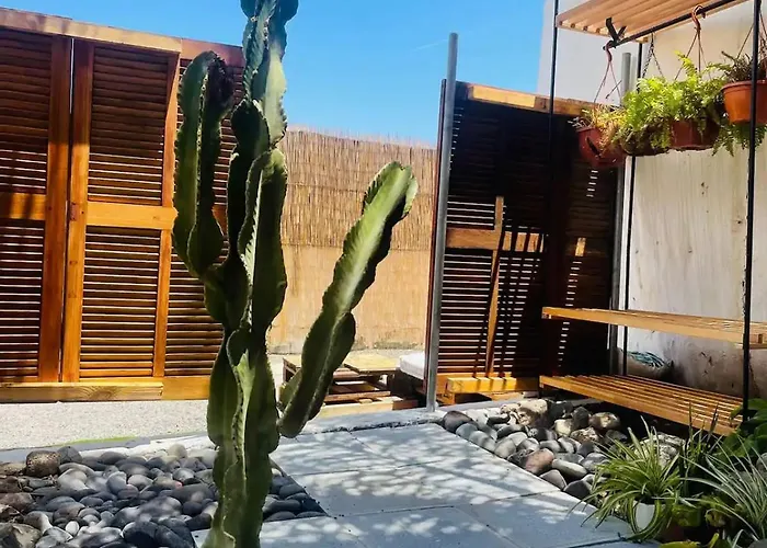 Casa Caracol - Oaxaca Κάμπινγκ