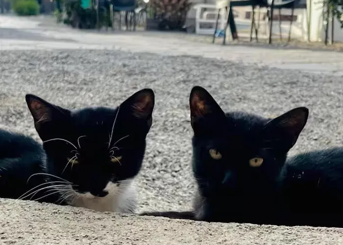 Casa Caracol - Oaxaca