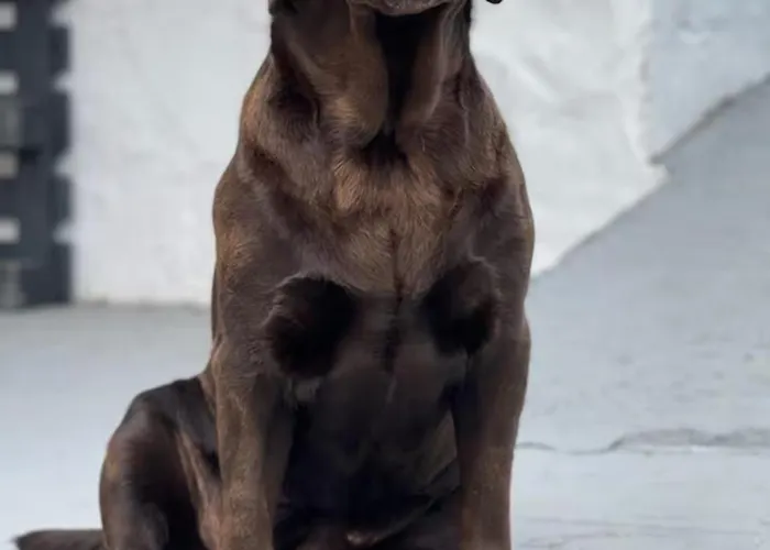 Casa Caracol - Oaxaca Κάμπινγκ Agaete (Gran Canaria)