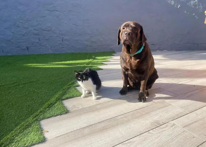 Κάμπινγκ Casa Caracol - Oaxaca *